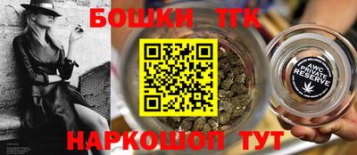 молекула духа Кингисепп