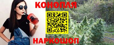 молекула духа Кингисепп