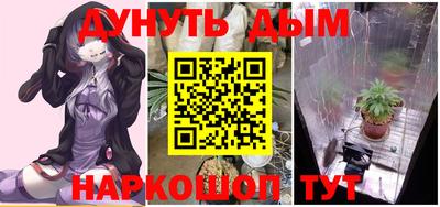 молекула духа Кингисепп
