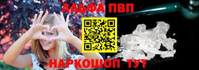 молекула духа Кингисепп