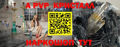 молекула духа Кингисепп