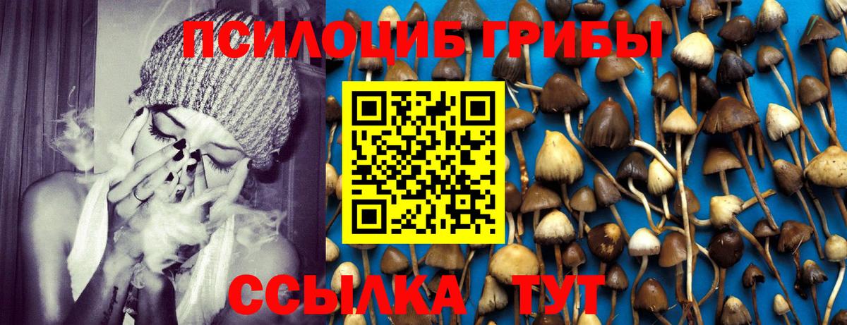 что такое наркотик  Вход с VPN  Георгиевск  Псилоцибиновые грибы ЛСД 
