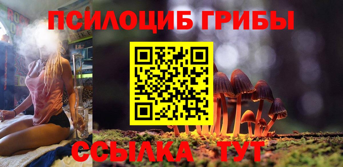 Псилоцибиновые грибы GOLDEN TEACHER Георгиевск